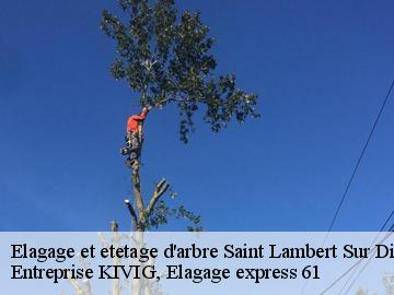 Elagage et etetage d'arbre  saint-lambert-sur-dive-61160 Entreprise KIVIG, Elagage express 61