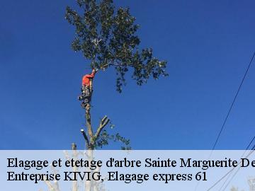 Elagage et etetage d'arbre  sainte-marguerite-de-carroug-61320 Entreprise KIVIG, Elagage express 61