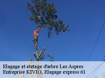 Elagage et etetage d'arbre  les-aspres-61270 Entreprise KIVIG, Elagage express 61