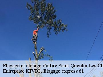 Elagage et etetage d'arbre  saint-quentin-les-chardonnet-61800 Entreprise KIVIG, Elagage express 61
