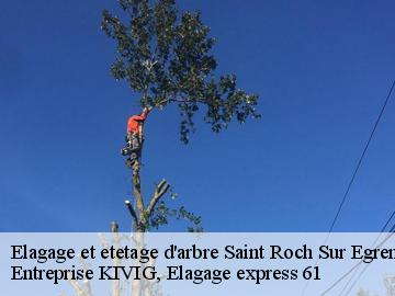 Elagage et etetage d'arbre  saint-roch-sur-egrenne-61350 Entreprise KIVIG, Elagage express 61
