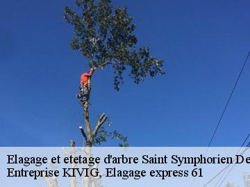 Elagage et etetage d'arbre  saint-symphorien-des-bruyeres-61300 Entreprise KIVIG, Elagage express 61
