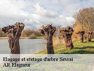 Elagage et etetage d'arbre  sevrai-61150 AR Elagueur