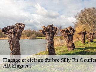 Elagage et etetage d'arbre  silly-en-gouffern-61310 AR Elagueur