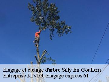 Elagage et etetage d'arbre  silly-en-gouffern-61310 Entreprise KIVIG, Elagage express 61