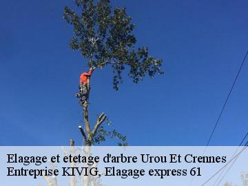 Elagage et etetage d'arbre  urou-et-crennes-61200 Entreprise KIVIG, Elagage express 61