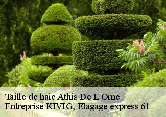 Taille de haie  athis-de-l-orne-61430 Entreprise KIVIG, Elagage express 61
