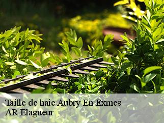 Taille de haie  aubry-en-exmes-61160 AR Elagueur