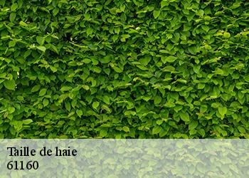 Taille de haie  61160