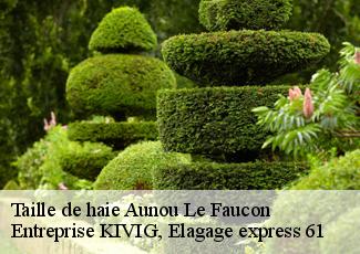 Taille de haie  aunou-le-faucon-61200 Entreprise KIVIG, Elagage express 61