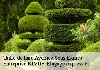 Taille de haie  avernes-sous-exmes-61310 Entreprise KIVIG, Elagage express 61