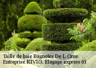 Taille de haie  bagnoles-de-l-orne-61140 Entreprise KIVIG, Elagage express 61