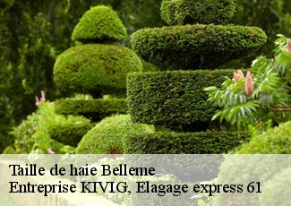 Taille de haie  belleme-61130 Entreprise KIVIG, Elagage express 61