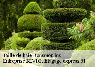 Taille de haie  bonsmoulins-61380 Entreprise KIVIG, Elagage express 61