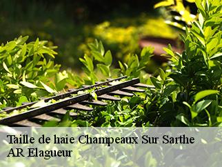 Taille de haie  champeaux-sur-sarthe-61560 Entreprise KIVIG, Elagage express 61