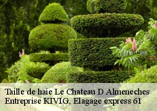 Taille de haie  le-chateau-d-almeneches-61570 Entreprise KIVIG, Elagage express 61