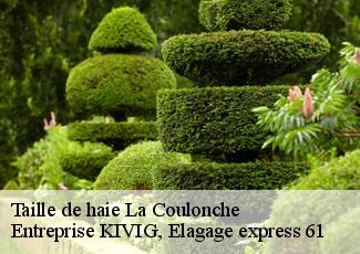 Taille de haie  la-coulonche-61220 Entreprise KIVIG, Elagage express 61