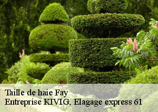 Taille de haie  fay-61390 Entreprise KIVIG, Elagage express 61