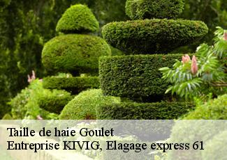 Taille de haie  goulet-61150 Entreprise KIVIG, Elagage express 61