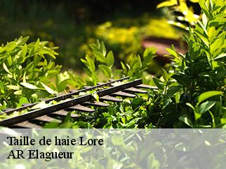 Taille de haie lore-61330 AR Elagueur