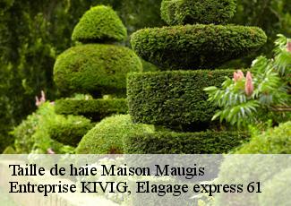 Taille de haie  maison-maugis-61110 Entreprise KIVIG, Elagage express 61
