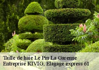 Taille de haie  le-pin-la-garenne-61400 Entreprise KIVIG, Elagage express 61