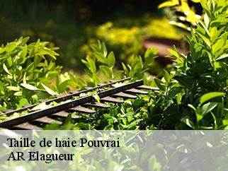 Taille de haie  pouvrai-61130 AR Elagueur