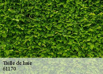 Taille de haie 61170