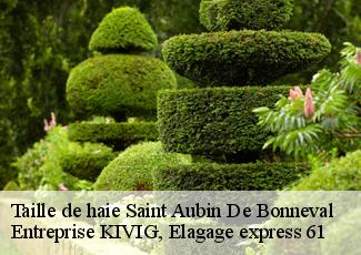 Taille de haie  saint-aubin-de-bonneval-61470 Entreprise KIVIG, Elagage express 61