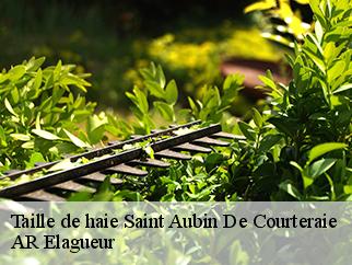 Taille de haie saint-aubin-de-courteraie-61560 AR Elagueur