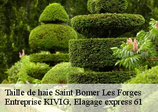 Taille de haie  saint-bomer-les-forges-61700 Entreprise KIVIG, Elagage express 61