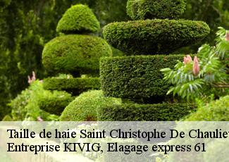 Taille de haie  saint-christophe-de-chaulieu-61800 Entreprise KIVIG, Elagage express 61