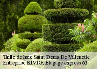 Taille de haie  saint-denis-de-villenette-61330 Entreprise KIVIG, Elagage express 61
