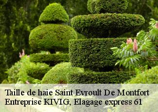 Taille de haie  saint-evroult-de-montfort-61230 Entreprise KIVIG, Elagage express 61
