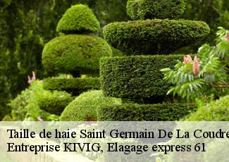 Taille de haie  saint-germain-de-la-coudre-61130 Entreprise KIVIG, Elagage express 61