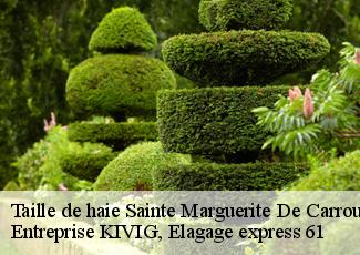 Taille de haie  sainte-marguerite-de-carroug-61320 Entreprise KIVIG, Elagage express 61