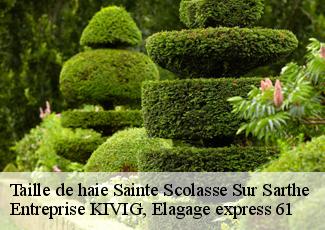 Taille de haie  sainte-scolasse-sur-sarthe-61170 Entreprise KIVIG, Elagage express 61