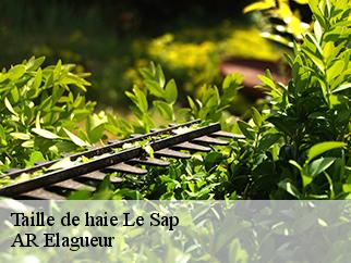 Taille de haie le-sap-61470 AR Elagueur