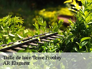 Taille de haie tesse-froulay-61410 AR Elagueur