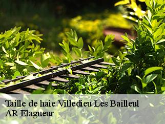 Taille de haie villedieu-les-bailleul-61160 AR Elagueur