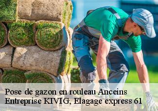 Pose de gazon en rouleau  anceins-61550 Entreprise KIVIG, Elagage express 61