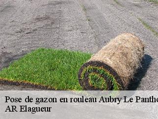 Pose de gazon en rouleau aubry-le-panthou-61120 AR Elagueur