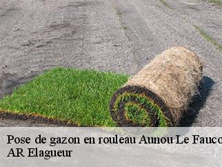 Pose de gazon en rouleau aunou-le-faucon-61200 AR Elagueur