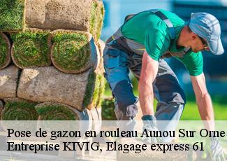 Pose de gazon en rouleau  aunou-sur-orne-61500 Entreprise KIVIG, Elagage express 61