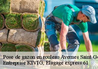 Pose de gazon en rouleau  avernes-saint-gourgon-61470 Entreprise KIVIG, Elagage express 61