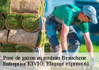 Pose de gazon en rouleau  beauchene-61800 Entreprise KIVIG, Elagage express 61