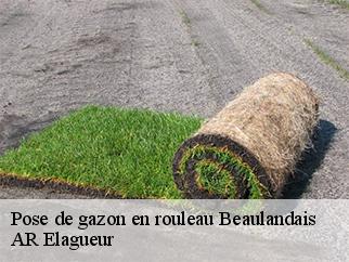 Pose de gazon en rouleau beaulandais-61140 AR Elagueur