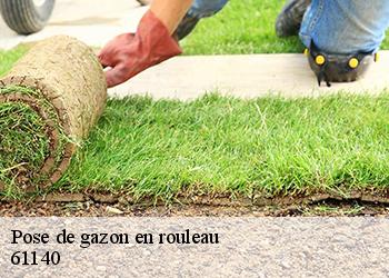 Pose de gazon en rouleau 61140