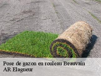 Pose de gazon en rouleau  beauvain-61600 AR Elagueur