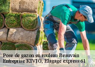 Pose de gazon en rouleau  beauvain-61600 Entreprise KIVIG, Elagage express 61